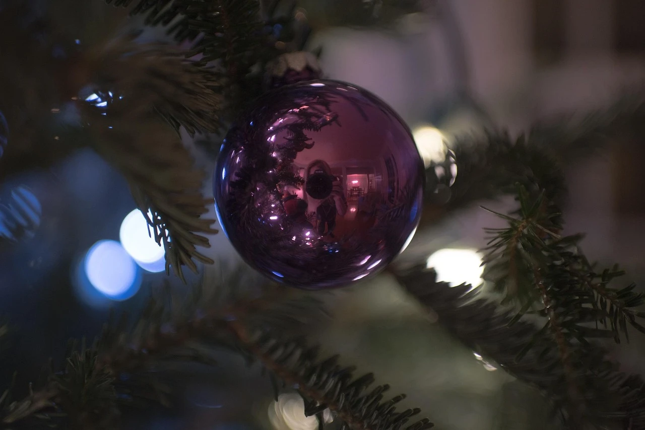 Rotating Disco Ball Light Indoor