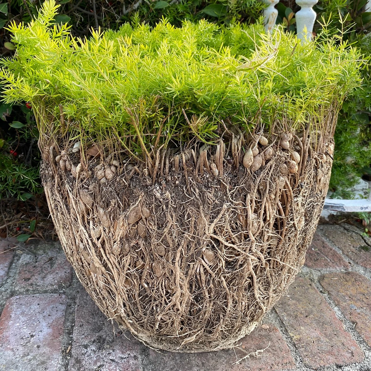 Gold Disco Ball Planter
