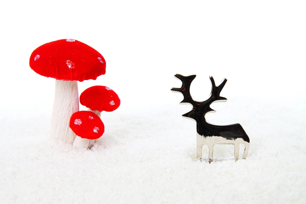 Disco Ball Mushroom